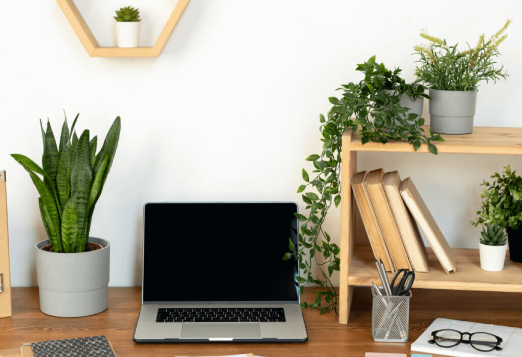 Plantas Pendentes na Mesa de Trabalho